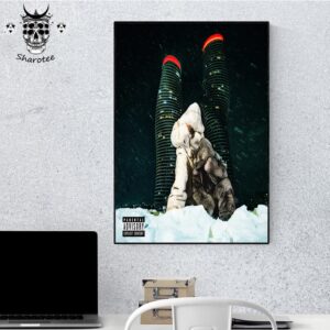 Some Sexy Songs 4 U Official Album Drake x Partynextdoor Wall Decor Poster Canvas